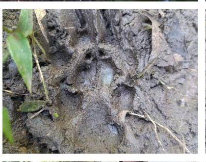 Patroli Resort Sembulungan