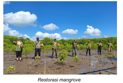 Rehabiltasi mangrove di teluk pangpang SPTN Wilayah II Muncar Profil
