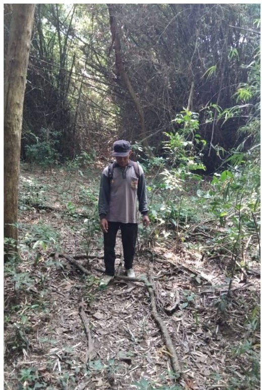 Blok Kubangan Satwa Aman, Patroli Resort Sembulungan Tak Temukan Jerat Maupun TIPIHUT