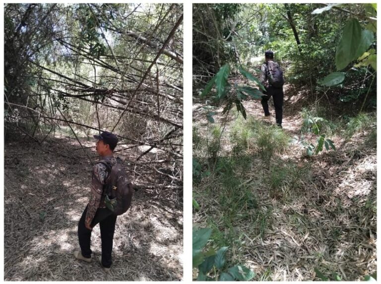 Resor Sembulungan Lakukan Patroli dan Pembersihan Kawasan, Kondisi Hutan Tetap Terjaga