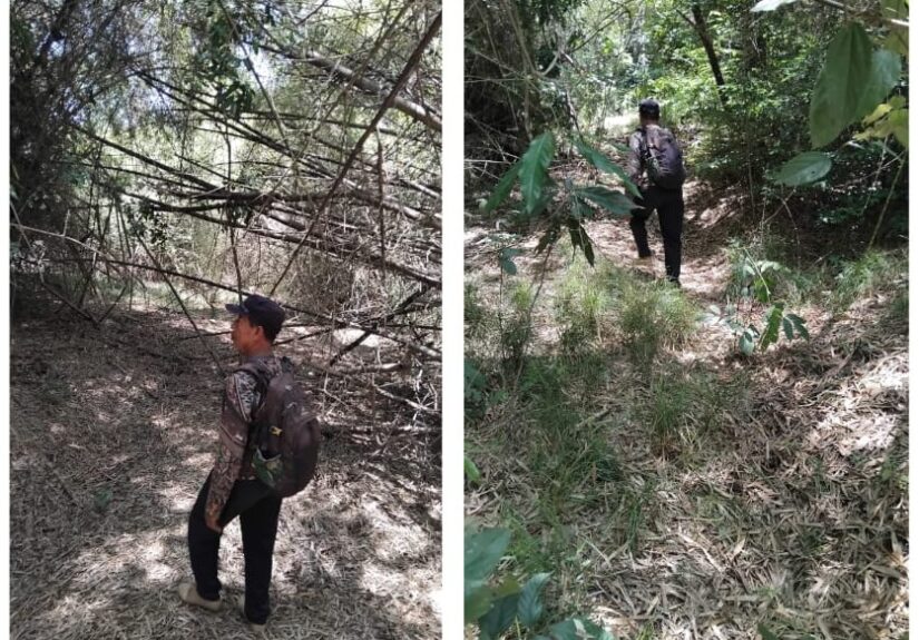 Resor Sembulungan Lakukan Patroli dan Pembersihan Kawasan, Kondisi Hutan Tetap Terjaga
