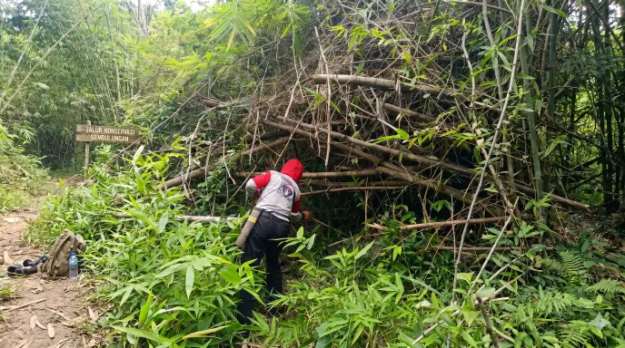 Petugas Resor Sembulungan saat melakukan pembersihan jalur Goa Jepang dari enam rumpun bambu yang roboh di tengah hutan.