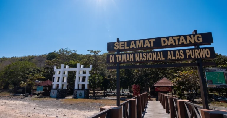 Pemandangan dari dermaga kayu Resor Sembulungan dengan papan tanda selamat datang kayu berukir dan gerbang masuk tradisional ke Taman Nasional Alas Purwo, Jawa Timur, Indonesia.