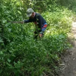 Petugas membersihkan semak di akses jalan dari Jatipapak menuju Resor Sembulungan.