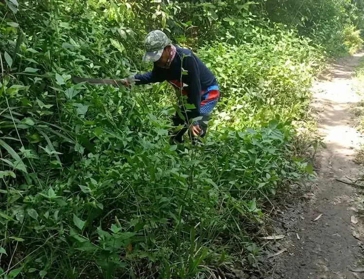 Petugas membersihkan semak di akses jalan dari Jatipapak menuju Resor Sembulungan.