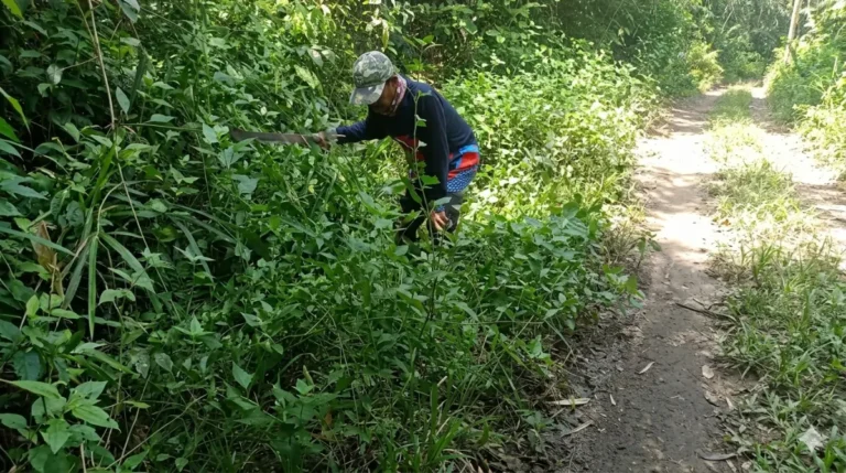 Petugas membersihkan semak di akses jalan dari Jatipapak menuju Resor Sembulungan.