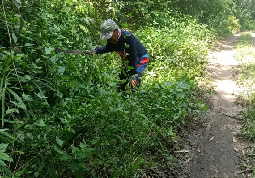 Petugas membersihkan semak di akses jalan dari Jatipapak menuju Resor Sembulungan.