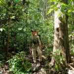 Petugas melakukan patroli kawasan dan kegiatan Resor Kucur pengamatan satwa di tengah hutan