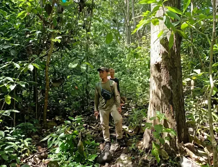 Dokumentasi petugas saat melakukan pembersihan semak belukar menggunakan parang untuk merawat akses jalan dari Jatipapak menuju Resor Sembulungan pada 11 Mei 2026, guna memastikan kelancaran jalur patroli pengamanan kawasan.
