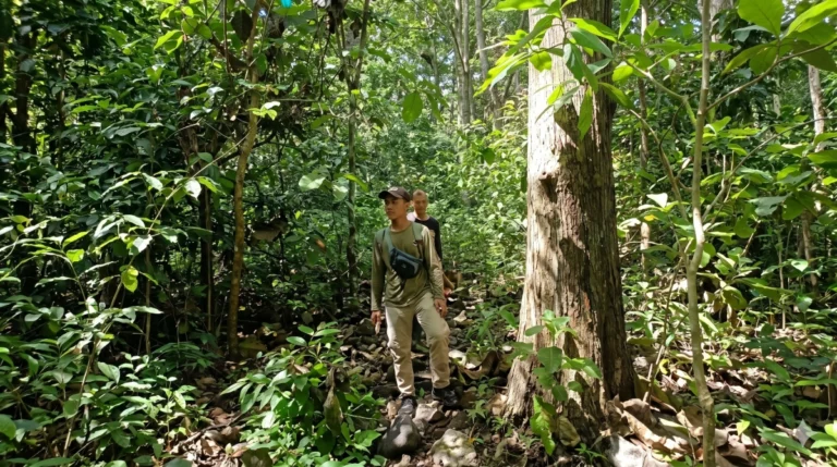 Petugas melakukan patroli kawasan dan kegiatan Resor Kucur pengamatan satwa di tengah hutan