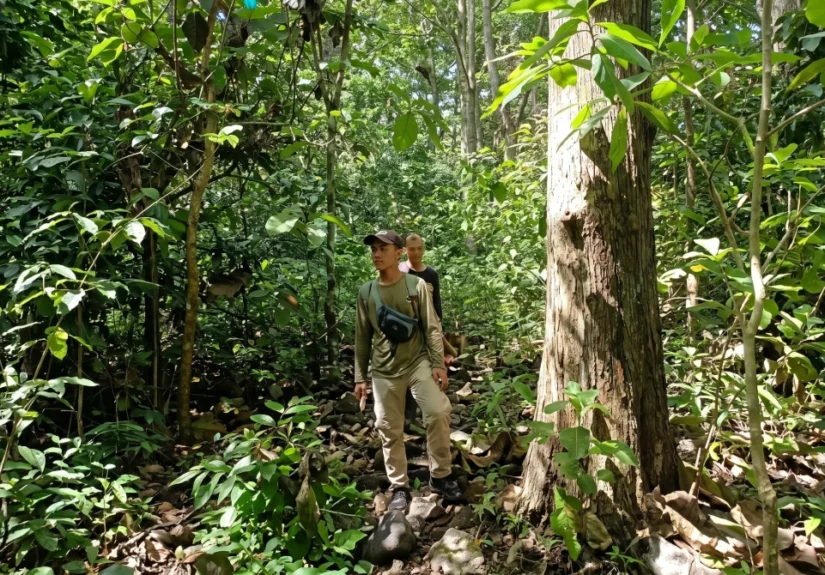 Petugas melakukan patroli kawasan dan kegiatan Resor Kucur pengamatan satwa di tengah hutan