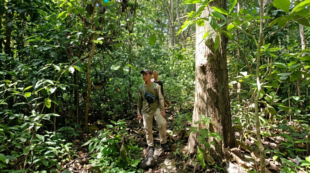 Petugas melakukan patroli kawasan dan kegiatan Resor Kucur pengamatan satwa di tengah hutan