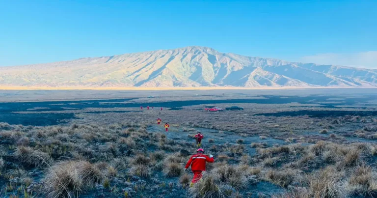 Tim pemadam kebakaran gabungan berseragam merah dari BKO TN Alas Purwo berjalan membawa peralatan melintasi savana yang hangus terbakar di Taman Nasional Bromo Tengger Semeru dengan latar belakang gunung.