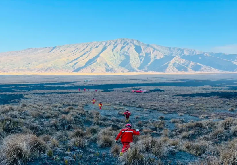 Tim pemadam kebakaran gabungan berseragam merah dari BKO TN Alas Purwo berjalan membawa peralatan melintasi savana yang hangus terbakar di Taman Nasional Bromo Tengger Semeru dengan latar belakang gunung.