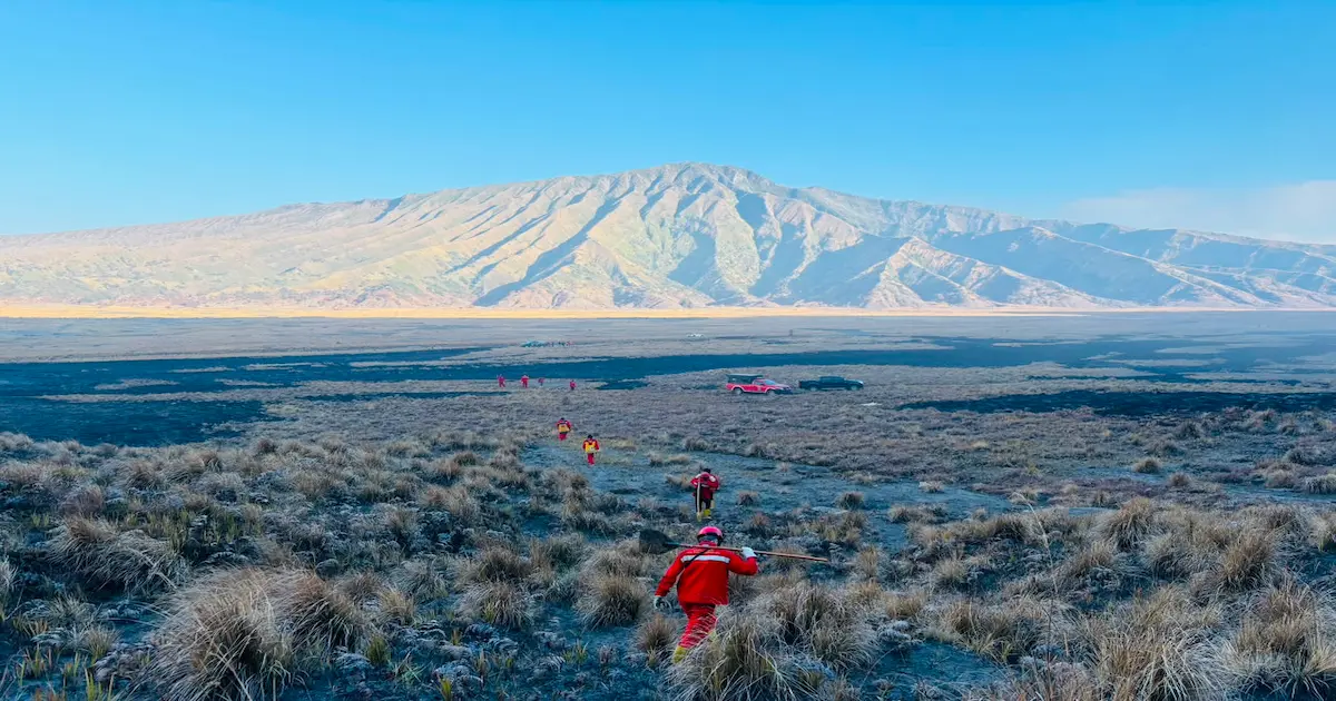 Tim pemadam kebakaran gabungan berseragam merah dari BKO TN Alas Purwo berjalan membawa peralatan melintasi savana yang hangus terbakar di Taman Nasional Bromo Tengger Semeru dengan latar belakang gunung.